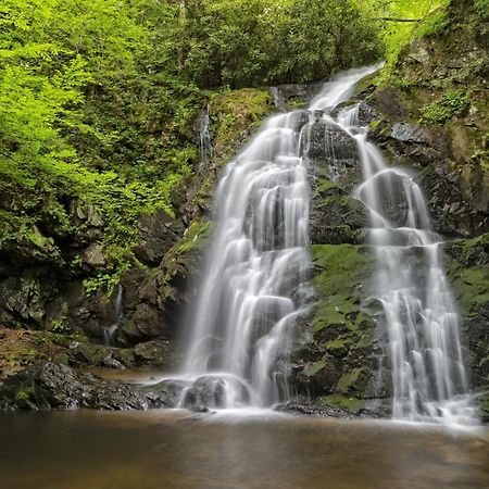 Four Bears Den, Hot Tub, 1089 Of Free Attraction Tickets For Each Paid Day, Dollywood And More Gatlinburg Bagian luar foto