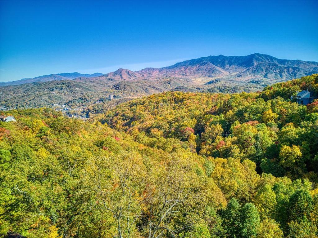 Four Bears Den, Hot Tub, 1089 Of Free Attraction Tickets For Each Paid Day, Dollywood And More Gatlinburg Bagian luar foto