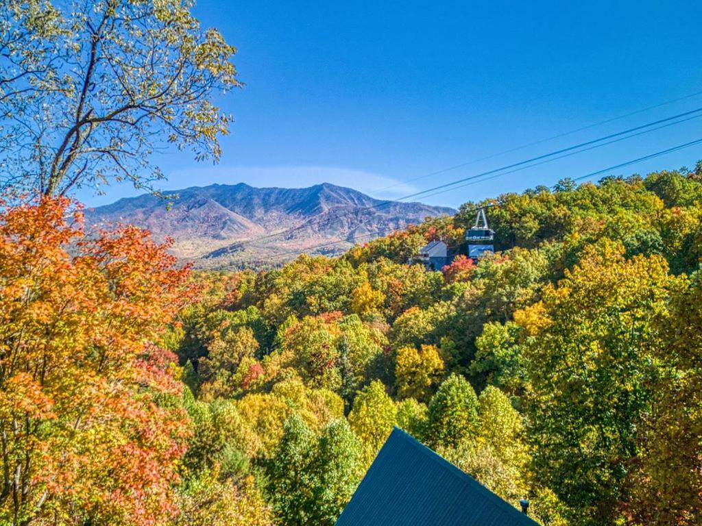 Four Bears Den, Hot Tub, 1089 Of Free Attraction Tickets For Each Paid Day, Dollywood And More Gatlinburg Bagian luar foto