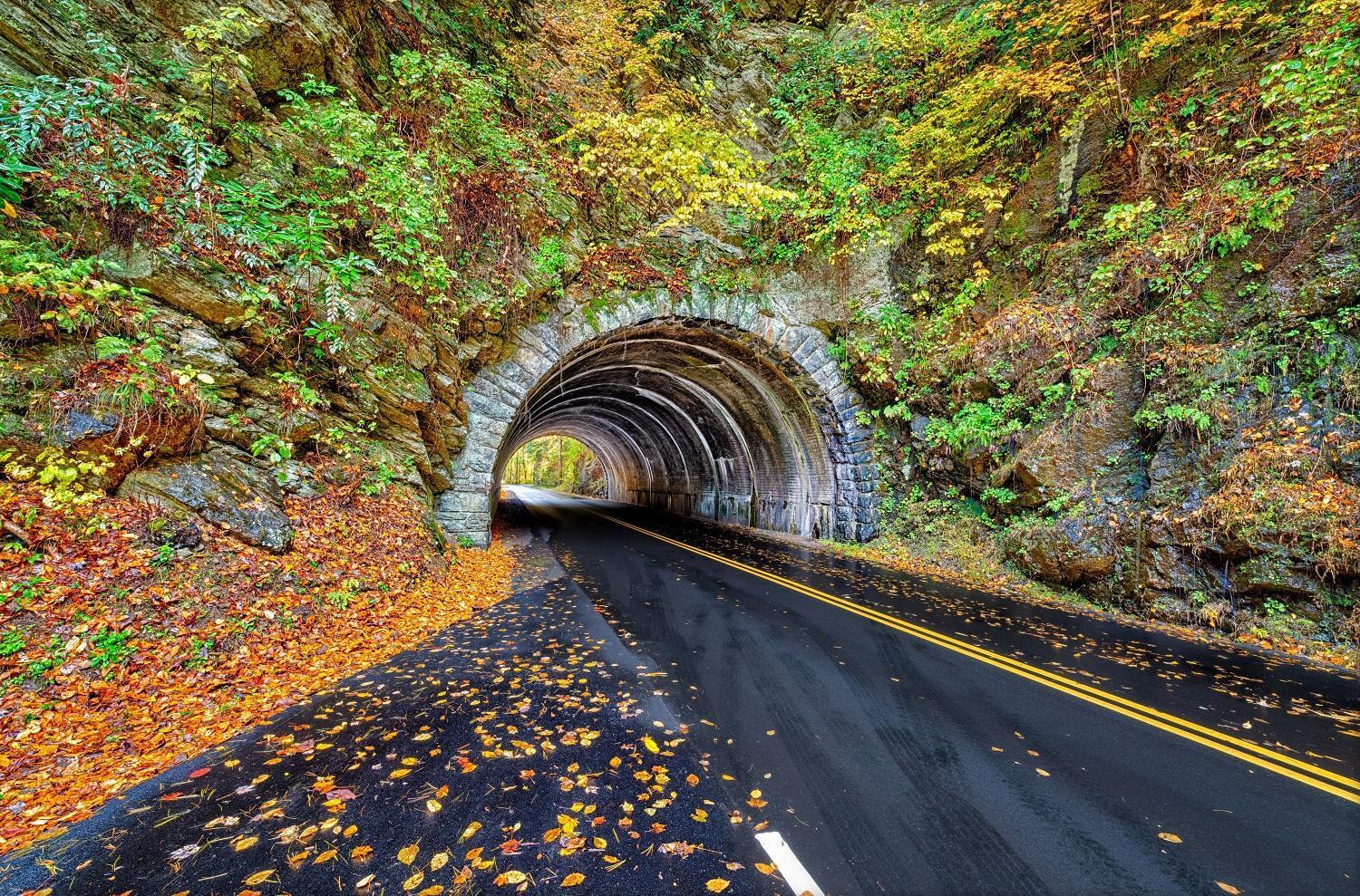 Four Bears Den, Hot Tub, 1089 Of Free Attraction Tickets For Each Paid Day, Dollywood And More Gatlinburg Bagian luar foto