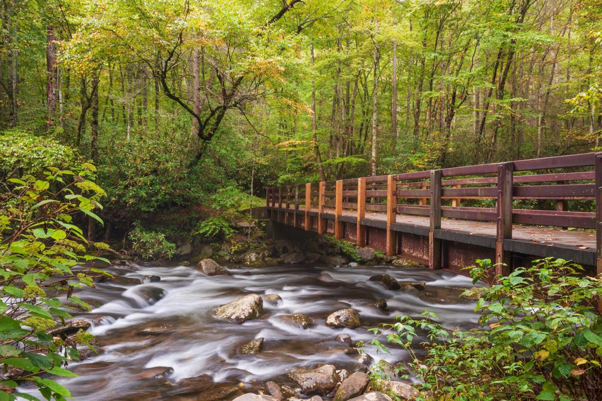 Four Bears Den, Hot Tub, 1089 Of Free Attraction Tickets For Each Paid Day, Dollywood And More Gatlinburg Bagian luar foto