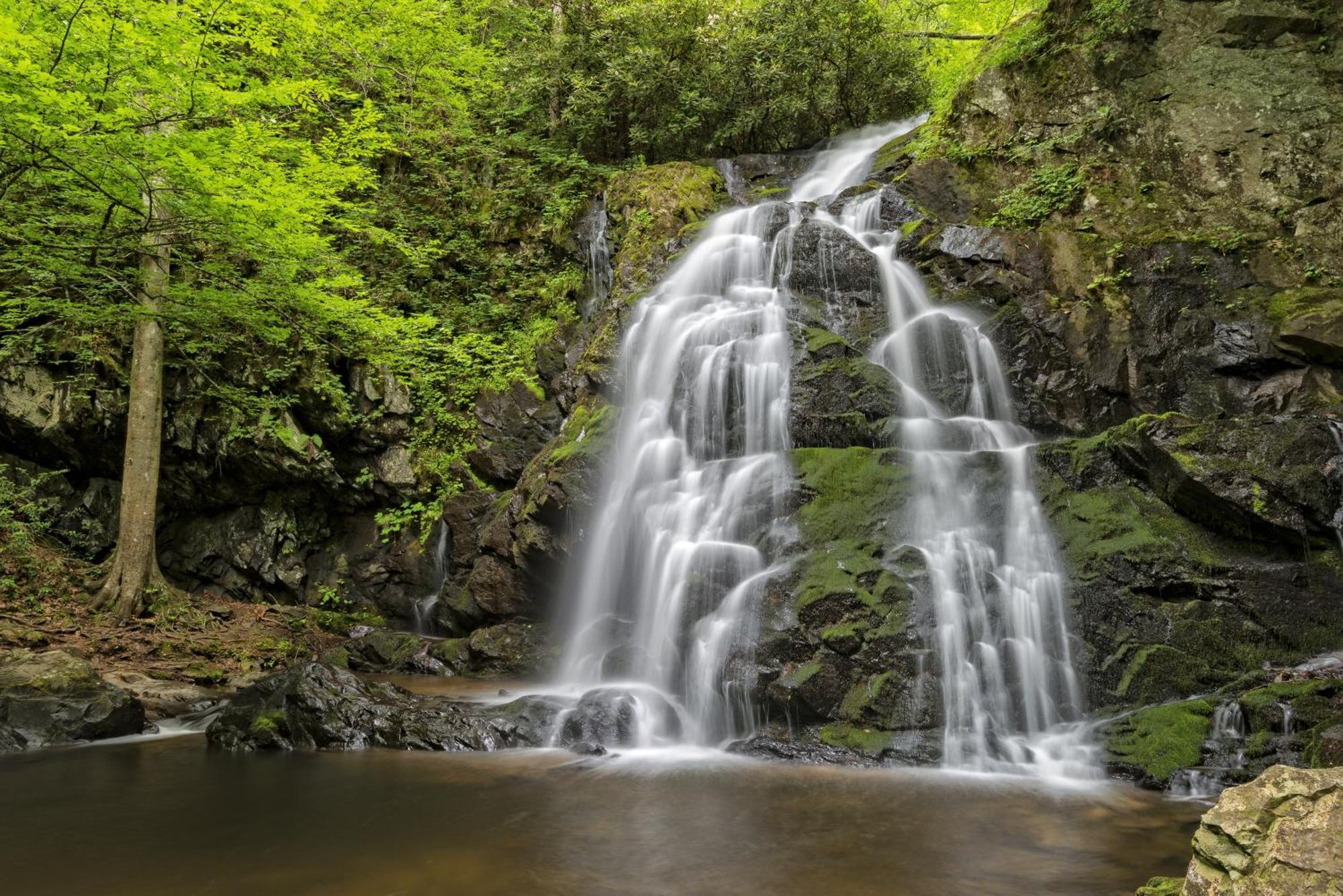 Four Bears Den, Hot Tub, 1089 Of Free Attraction Tickets For Each Paid Day, Dollywood And More Gatlinburg Bagian luar foto