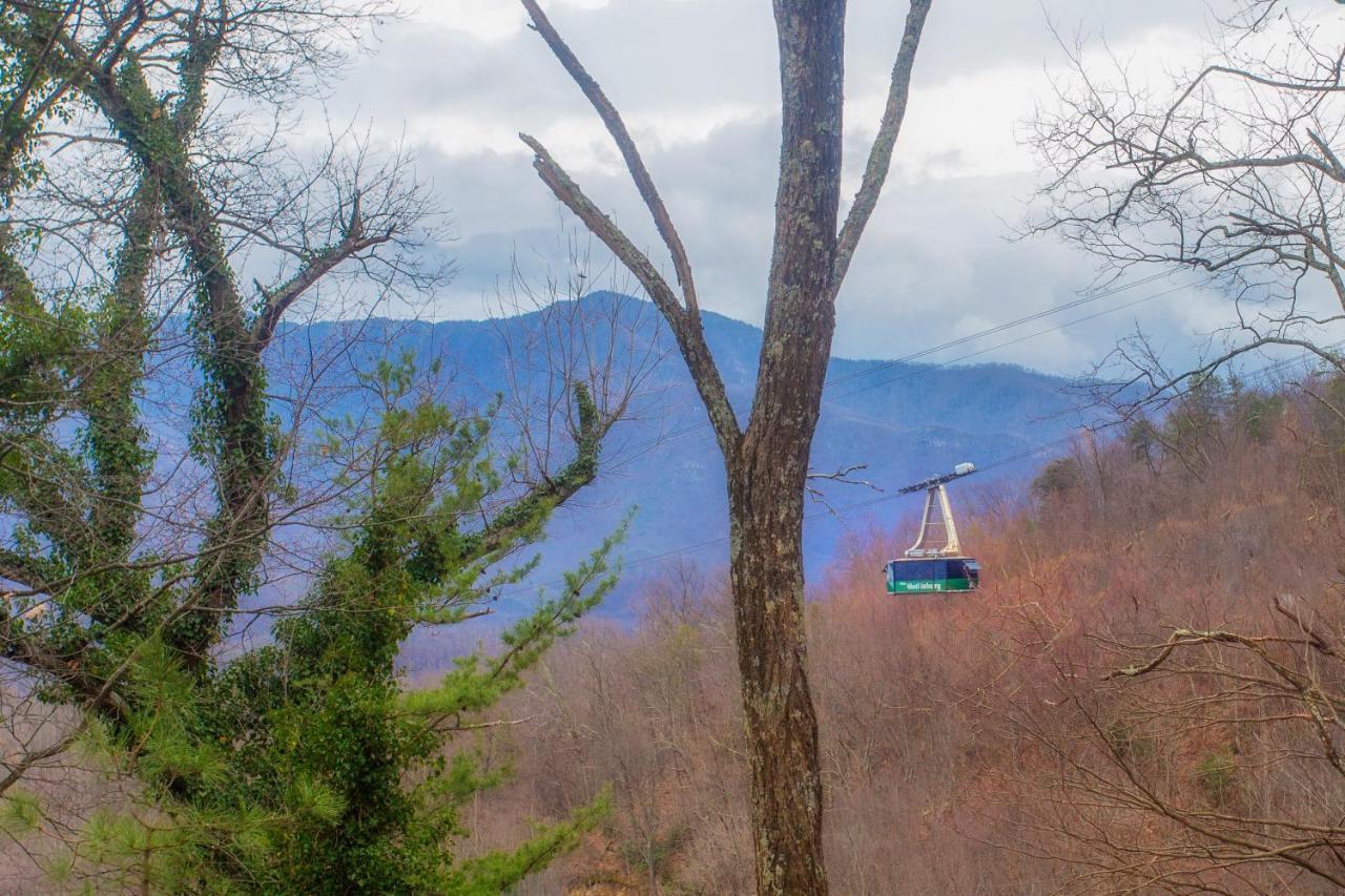 Four Bears Den, Hot Tub, 1089 Of Free Attraction Tickets For Each Paid Day, Dollywood And More Gatlinburg Bagian luar foto